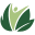 Avita Health System logo