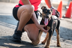 Avita5K136 Avita5K136