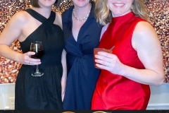 Heart_of_Avita_Ball_photo_62